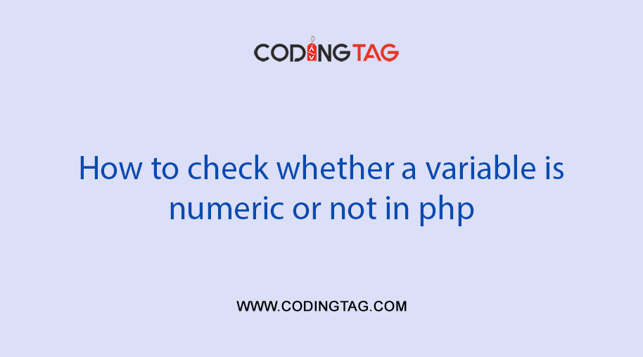 How to check whether a variable is numeric or not in php
