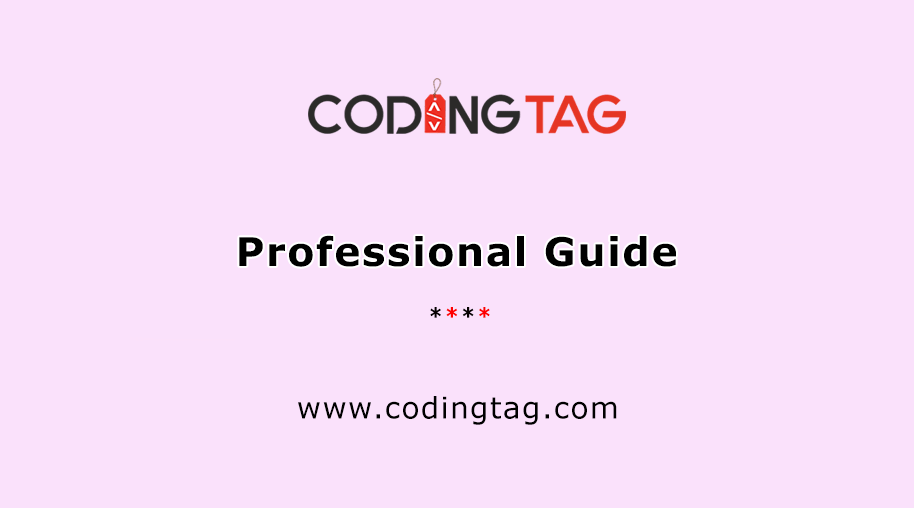 Professional Guide